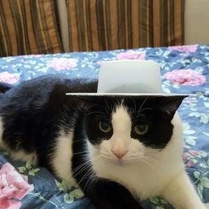 Meet your Posher, Lorene